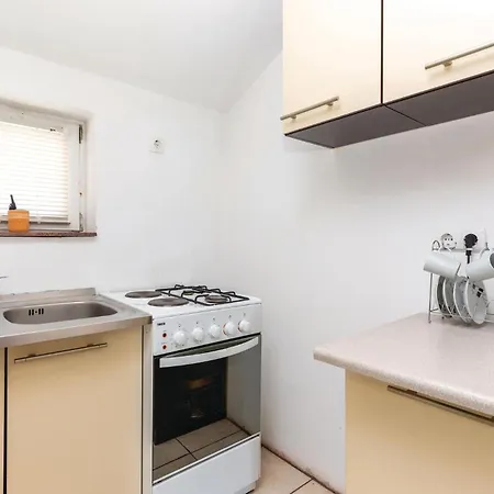 Apartment Lovely In With Kitchen